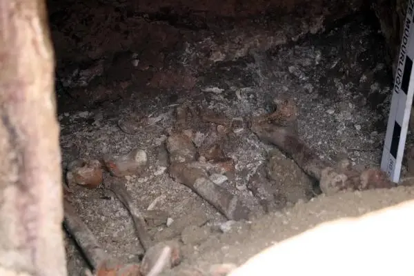 DEVREK'TE ROMA DÖNEMİNE AİT MEZAR BULUNDU DEVREK'TE ROMA DÖNEMİNE AİT MEZAR BULUNDU