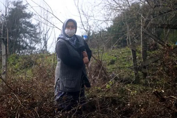 DEVREK'TE ROMA DÖNEMİNE AİT MEZAR BULUNDU DEVREK'TE ROMA DÖNEMİNE AİT MEZAR BULUNDU