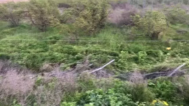 Devrilen otomobildeki 2 kişi yaralandı Devrilen otomobildeki 2 kişi yaralandı