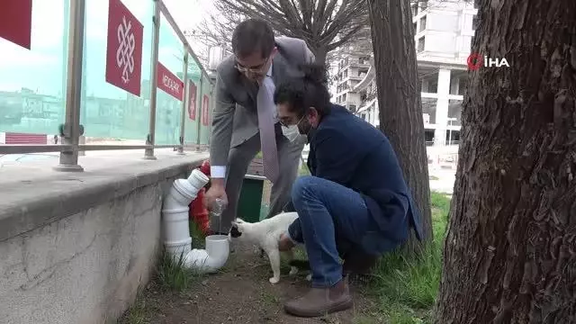 Elazığ'da hayvan dostu hastane Elazığ'da hayvan dostu hastane