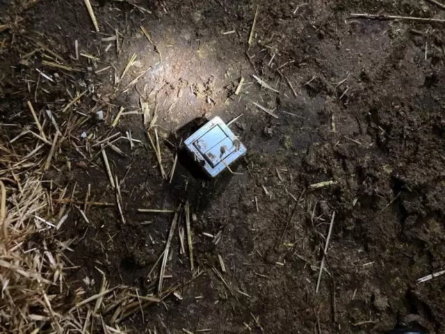 Elektrik kablosunu kemiren 7 büyükbaş hayvan telef oldu Elektrik kablosunu kemiren 7 büyükbaş hayvan telef oldu