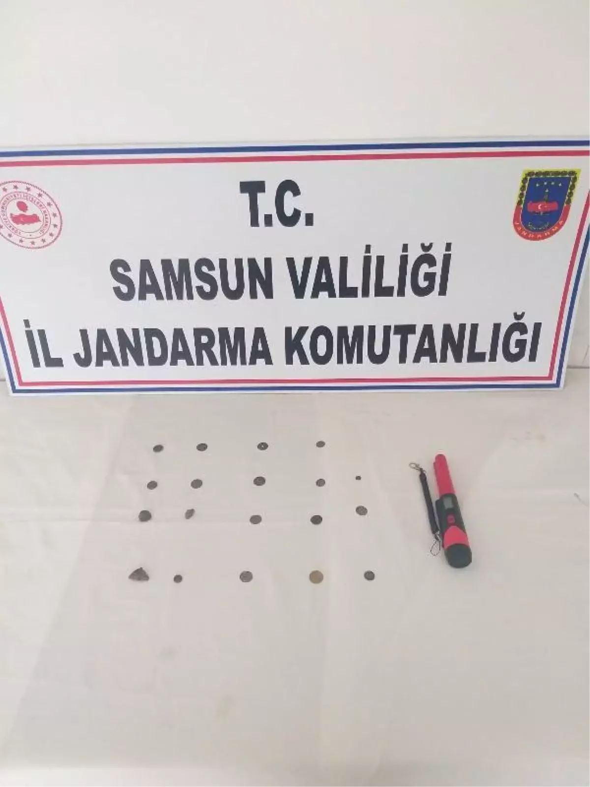 Evinden 19 sikke çıktı, gözaltına alındı