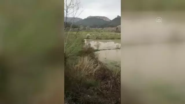 Göksu Nehri'nin taşması sonucu tarım arazileri su altında kaldı Göksu Nehri'nin taşması sonucu tarım arazileri su altında kaldı