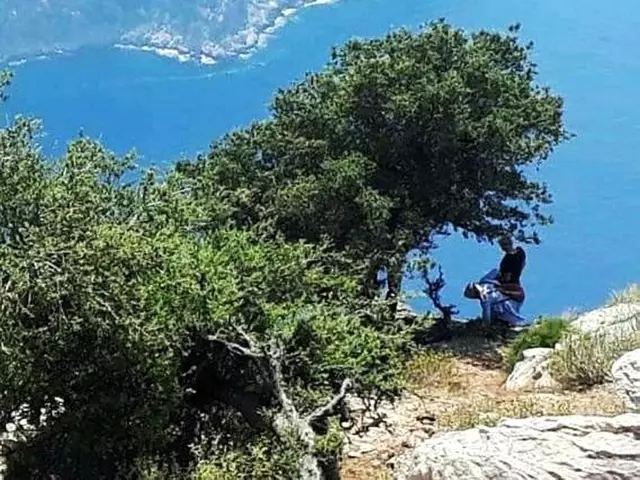 Sigorta parası için hamile eşini kayalıklardan atan kocanın davasında tanık konuştu: Eşi düşmüş biri gibi değildi Sigorta parası için hamile eşini kayalıklardan atan kocanın davasında tanık konuştu: Eşi düşmüş biri gibi değildi