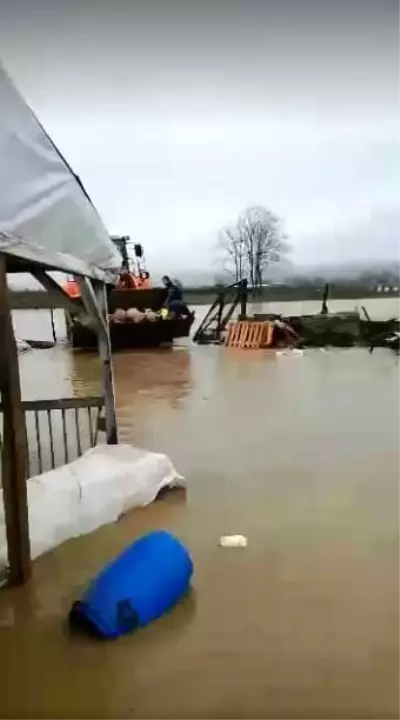 Hayvan çiftliği sular altında kaldı, kuzular kepçeyle kurtarıldı Hayvan çiftliği sular altında kaldı, kuzular kepçeyle kurtarıldı