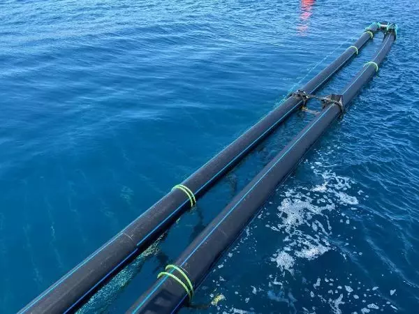 Hibe desteğiyle midye üretim tesisi kurdu Hibe desteğiyle midye üretim tesisi kurdu
