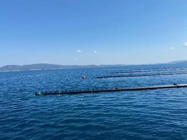 Hibe desteğiyle midye üretim tesisi kurdu Hibe desteğiyle midye üretim tesisi kurdu
