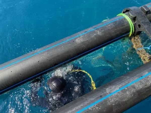 Hibe desteğiyle midye üretim tesisi kurdu Hibe desteğiyle midye üretim tesisi kurdu