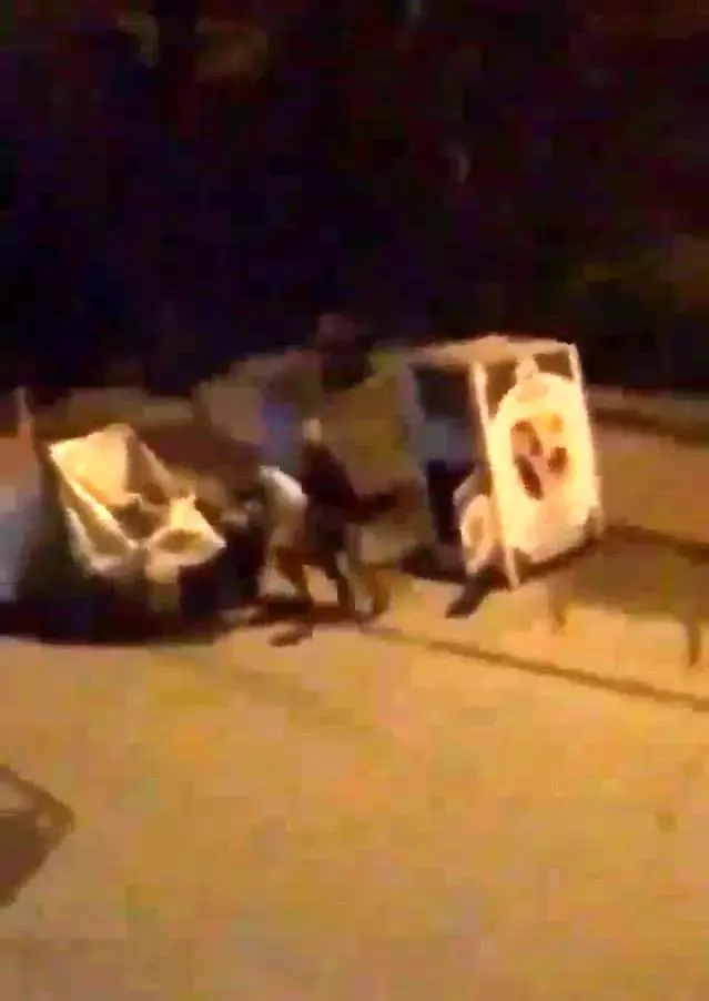 İhtiyaç sahipleri için bırakılan kıyafetleri böyle çaldı İhtiyaç sahipleri için bırakılan kıyafetleri böyle çaldı