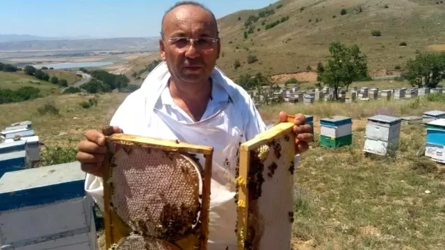 Son dakika haber: İklim değişikliği ve varroa canlısı, bal üretimini düşürdü Son dakika haber: İklim değişikliği ve varroa canlısı, bal üretimini düşürdü