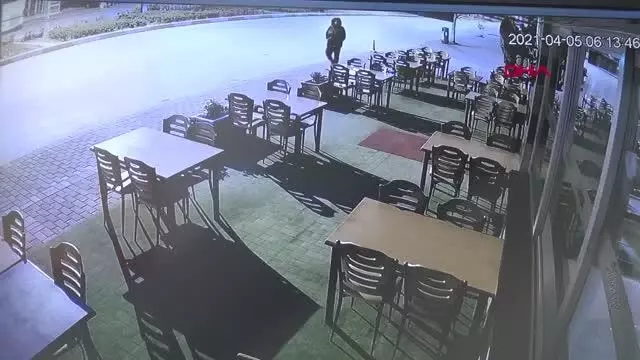 İş yerinin önündeki çiçekler çalındı, 'böyle hırsızlık görmedim' dedi İş yerinin önündeki çiçekler çalındı, 'böyle hırsızlık görmedim' dedi