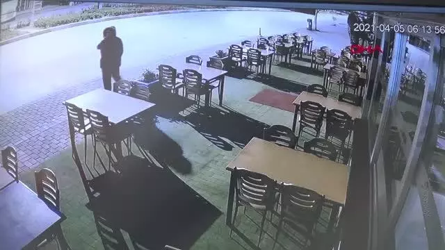 İş yerinin önündeki çiçekler çalındı, 'böyle hırsızlık görmedim' dedi İş yerinin önündeki çiçekler çalındı, 'böyle hırsızlık görmedim' dedi