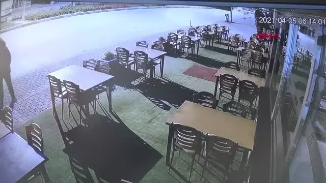 İş yerinin önündeki çiçekler çalındı, 'böyle hırsızlık görmedim' dedi İş yerinin önündeki çiçekler çalındı, 'böyle hırsızlık görmedim' dedi