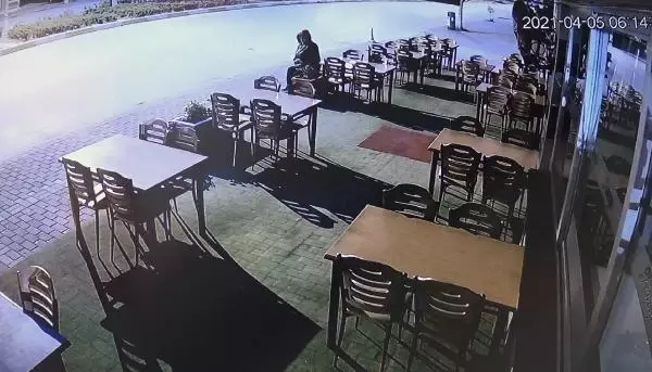 İş yerinin önündeki çiçekler çalındı, 'böyle hırsızlık görmedim' dedi İş yerinin önündeki çiçekler çalındı, 'böyle hırsızlık görmedim' dedi