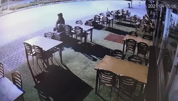 İş yerinin önündeki çiçekler çalındı, 'böyle hırsızlık görmedim' dedi İş yerinin önündeki çiçekler çalındı, 'böyle hırsızlık görmedim' dedi