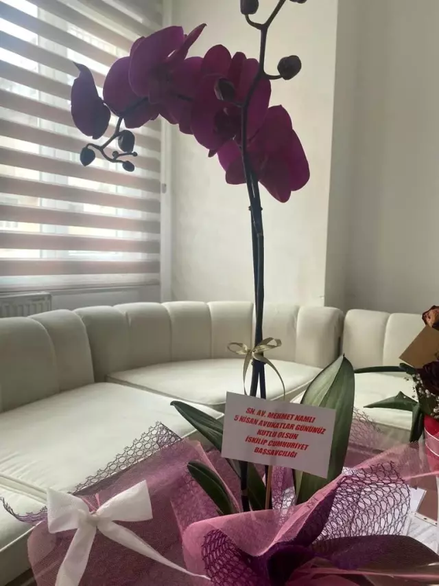 İskilip Cumhuriyet Başsavcılığından avukatlara çiçek İskilip Cumhuriyet Başsavcılığından avukatlara çiçek