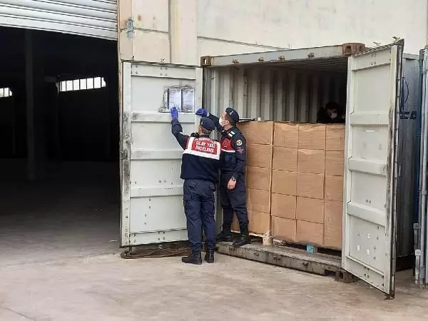İzmir'deki depoda 1'i TIR'a yüklü 3 konteynerden 91 kaçak göçmen çıktı - Yeniden İzmir'deki depoda 1'i TIR'a yüklü 3 konteynerden 91 kaçak göçmen çıktı - Yeniden
