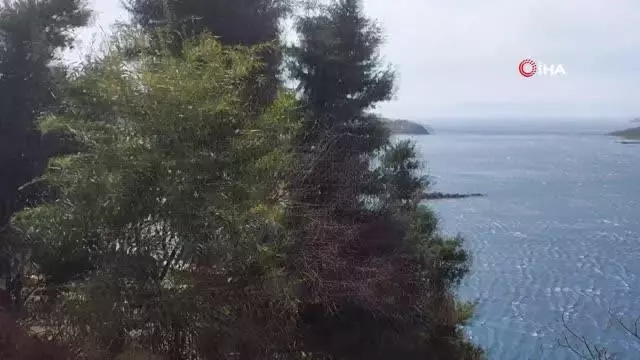 Son dakika haber | Kenan Evren öldü, darbeci paşalar Bodrum'u terk etti Son dakika haber | Kenan Evren öldü, darbeci paşalar Bodrum'u terk etti