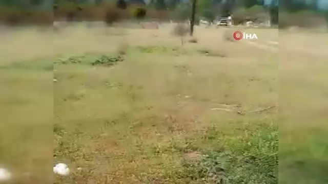 Son dakika gündem: Kokuya giden çoban, vahşeti ortaya çıkardı Son dakika gündem: Kokuya giden çoban, vahşeti ortaya çıkardı