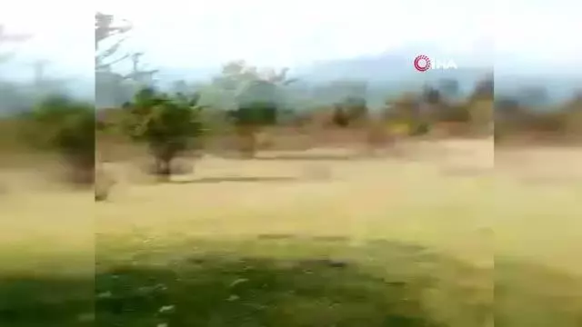 Son dakika gündem: Kokuya giden çoban, vahşeti ortaya çıkardı Son dakika gündem: Kokuya giden çoban, vahşeti ortaya çıkardı