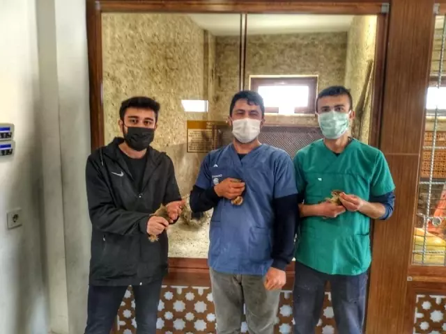 Konya'da pet shopta sincap ticaretine idari para ve tazminat cezası Konya'da pet shopta sincap ticaretine idari para ve tazminat cezası
