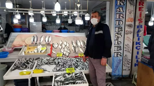 Marmaralı balıkçılar sezondan memnun değil Marmaralı balıkçılar sezondan memnun değil