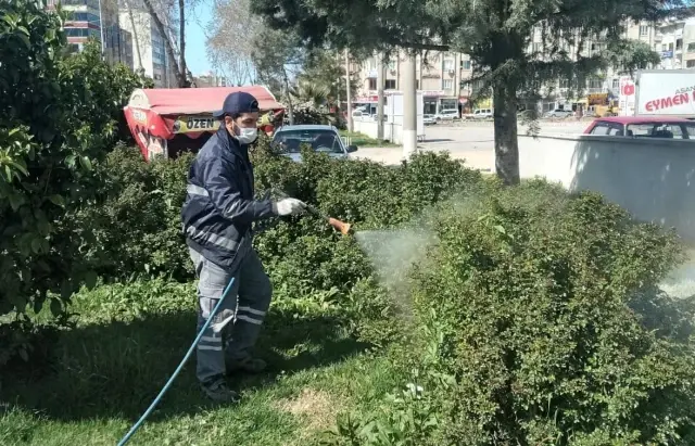 Parklarda haşere mücadelesi Parklarda haşere mücadelesi