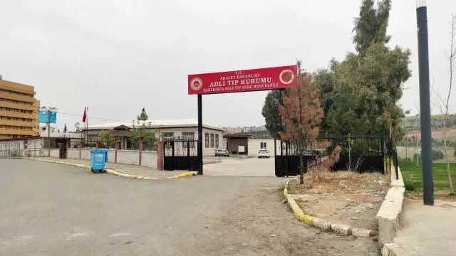 Şanlıurfa'da evde çıkan yangında bir kadın öldü, çocuğu ağır yaralandı Şanlıurfa'da evde çıkan yangında bir kadın öldü, çocuğu ağır yaralandı