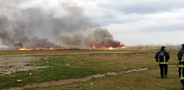 Sazlık alanda korkutan yangın Sazlık alanda korkutan yangın