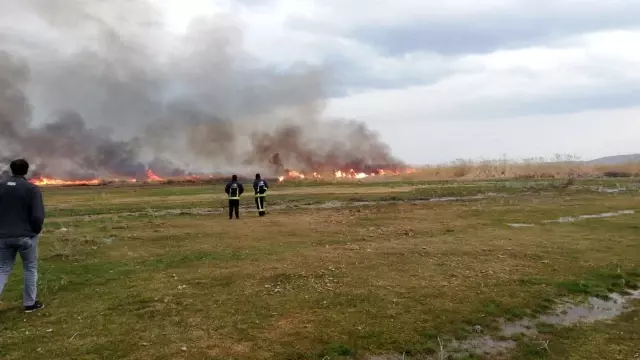 Sazlık alanda korkutan yangın Sazlık alanda korkutan yangın