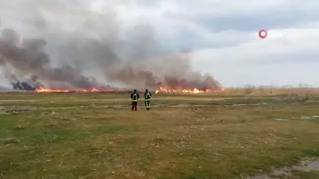 Sazlık alanda korkutan yangın Sazlık alanda korkutan yangın