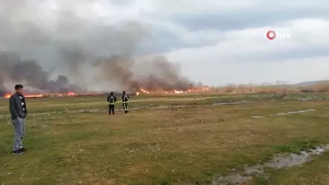 Sazlık alanda korkutan yangın Sazlık alanda korkutan yangın