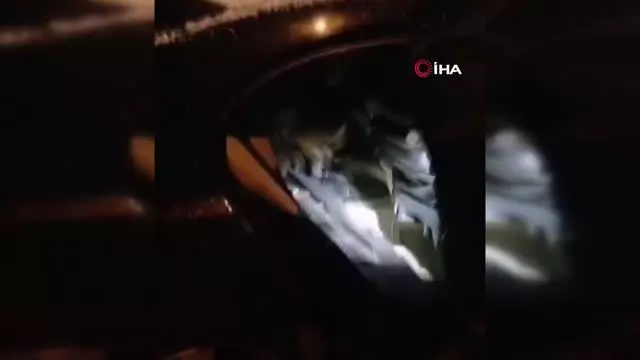 Van'da uyuşturucu operasyonu: 3 tutuklama Van'da uyuşturucu operasyonu: 3 tutuklama
