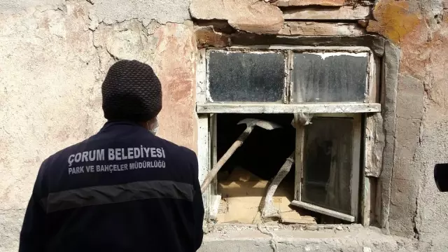 Yalnız yaşayan adamın evinden 4 kamyon çöp çıktı Yalnız yaşayan adamın evinden 4 kamyon çöp çıktı