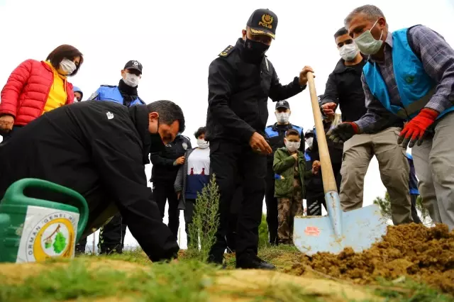 135 şehit için çocuk ve eşleri 135 fidan dikti 135 şehit için çocuk ve eşleri 135 fidan dikti