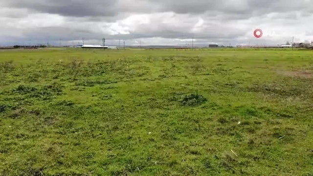 Köyün 3 bin hayvanı var, meraları ellerinden alındı Köyün 3 bin hayvanı var, meraları ellerinden alındı
