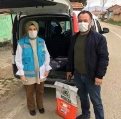 4 köye ayçiçeği tohumu dağıtımı 4 köye ayçiçeği tohumu dağıtımı