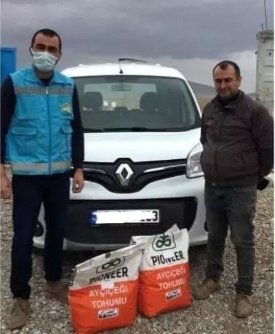 4 köye ayçiçeği tohumu dağıtımı 4 köye ayçiçeği tohumu dağıtımı