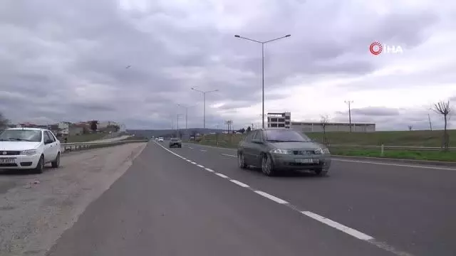 Aç kalan fareler Tekirdağ-İstanbul çevre yolunu bastı Aç kalan fareler Tekirdağ-İstanbul çevre yolunu bastı