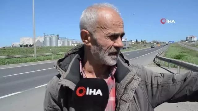 Aç kalan fareler Tekirdağ-İstanbul çevre yolunu bastı Aç kalan fareler Tekirdağ-İstanbul çevre yolunu bastı