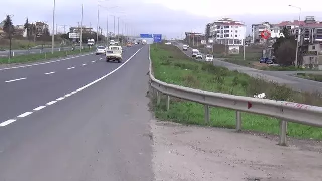 Aç kalan fareler Tekirdağ-İstanbul çevre yolunu bastı Aç kalan fareler Tekirdağ-İstanbul çevre yolunu bastı
