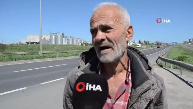 Aç kalan fareler Tekirdağ-İstanbul çevre yolunu bastı Aç kalan fareler Tekirdağ-İstanbul çevre yolunu bastı