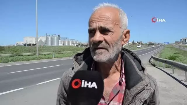 Aç kalan fareler Tekirdağ-İstanbul çevre yolunu bastı Aç kalan fareler Tekirdağ-İstanbul çevre yolunu bastı