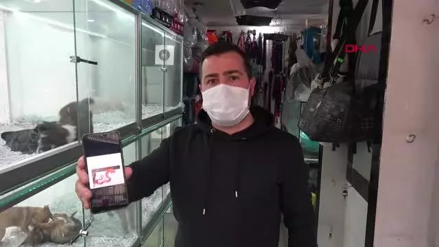 ADANA İNTERNETTEN HAYVAN SATIŞI TEPKİSİ TARANTULA, BAYKUŞ, ALBİNO KİRPİ, YILAN NE ARARSAN VAR ADANA İNTERNETTEN HAYVAN SATIŞI TEPKİSİ TARANTULA, BAYKUŞ, ALBİNO KİRPİ, YILAN NE ARARSAN VAR