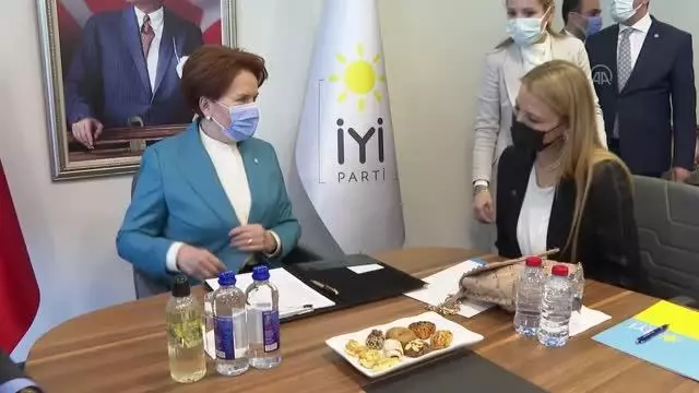 Akşener, TÜGİAD Yönetim Kurulu Başkanı Çevikel ile görüştü Akşener, TÜGİAD Yönetim Kurulu Başkanı Çevikel ile görüştü