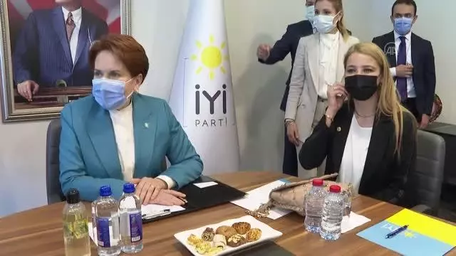 Akşener, TÜGİAD Yönetim Kurulu Başkanı Çevikel ile görüştü Akşener, TÜGİAD Yönetim Kurulu Başkanı Çevikel ile görüştü
