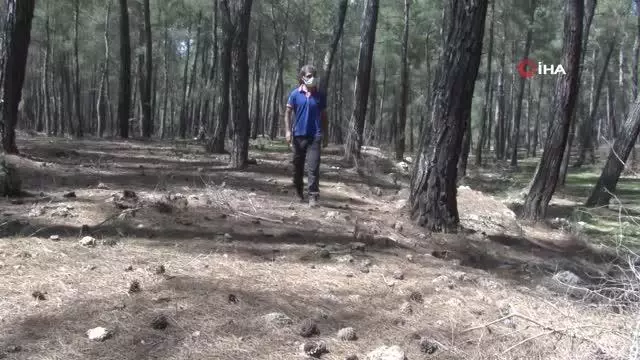 Antalya'da kayıp genç uçurum ve ormanlık alanda aranıyor Antalya'da kayıp genç uçurum ve ormanlık alanda aranıyor