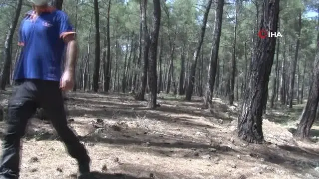 Antalya'da kayıp genç uçurum ve ormanlık alanda aranıyor Antalya'da kayıp genç uçurum ve ormanlık alanda aranıyor