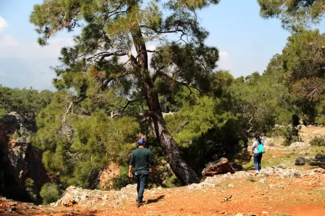 Antalya'da kayıp genç uçurum ve ormanlık alanda aranıyor Antalya'da kayıp genç uçurum ve ormanlık alanda aranıyor
