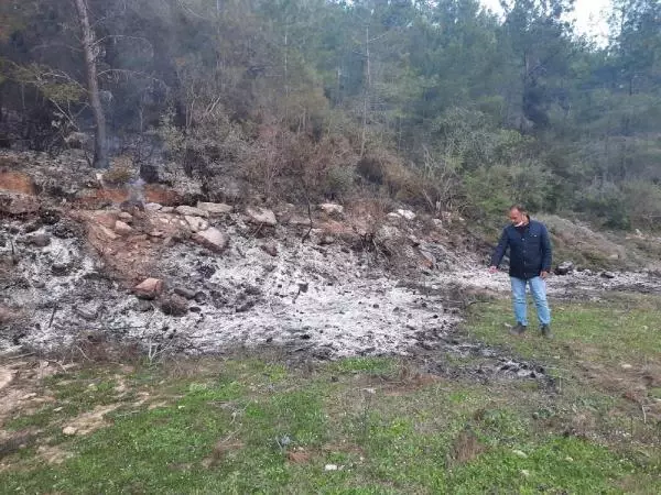 ORMAN KURTULDU, KAPLUMBAĞA YANDI ORMAN KURTULDU, KAPLUMBAĞA YANDI